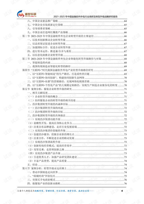 2021-2025年中國(guó)金融軟件外包行業(yè)調(diào)研報(bào)告 趨勢(shì)、挑戰(zhàn)與戰(zhàn)略轉(zhuǎn)型
